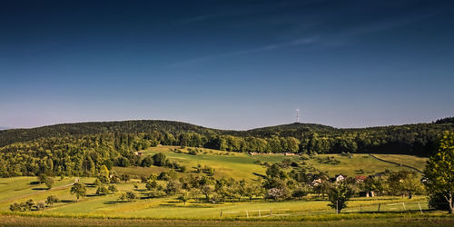 Scenic view of field against clear sky