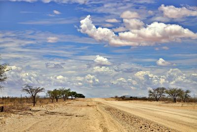 Dirt road through kalahari desert