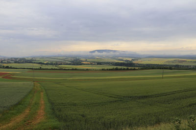 Nordpfalz, donnersberg