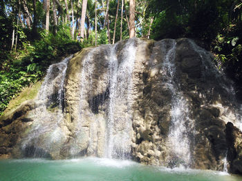 Scenic view of waterfall in forest