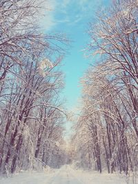 Snow covered landscape