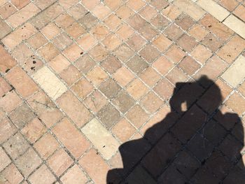 Woman shadow on cobblestone