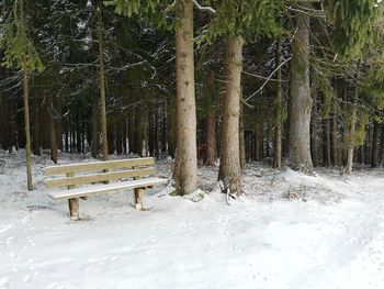 Trees on snow covered field during winter