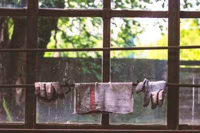 Close-up of clothes drying against window