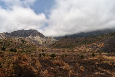 View of burned ground in mountain plateau