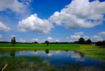 Water collected on field against sky