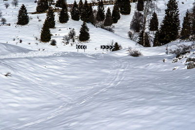 Glimpses of snow on monte grappa with blue sky and green trees, vicenza