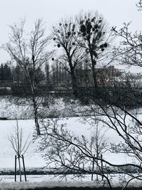 Bare trees by lake against clear sky