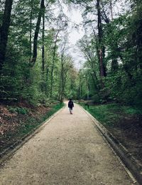 Rear view of man walking on footpath in forest