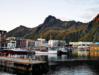 Sailboats moored in harbor against sky