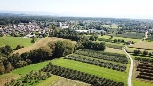 High angle view of agricultural field against clear sky