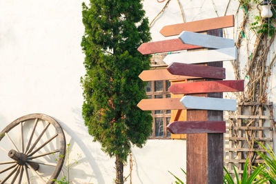 Wood direction sign, empty boards pointing towards different directions - image