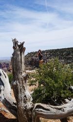 Scenic view of tree against sky