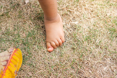 Low section of baby feet on field