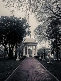 Built structure along trees