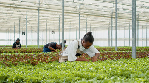 Side view of woman gardening