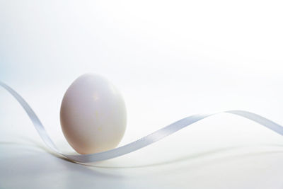 egg