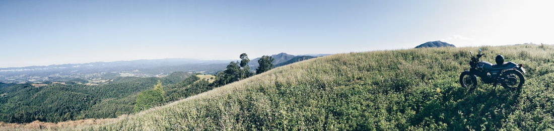 Scenic view of field against clear sky