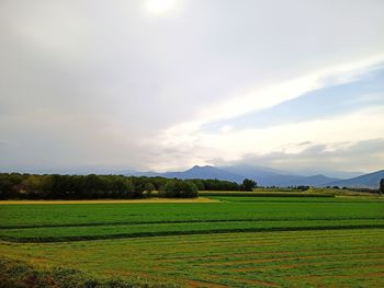 Scenic view of field against sky