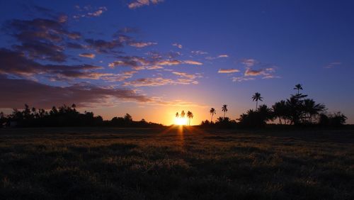 Silhouette trees on field against sky at sunset