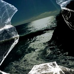 Reflection of trees in water