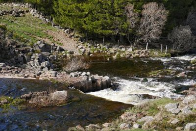 Stream flowing through rocks