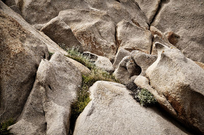 Close-up of rock formation
