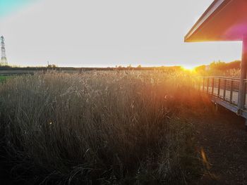 Scenic view of farm against sky