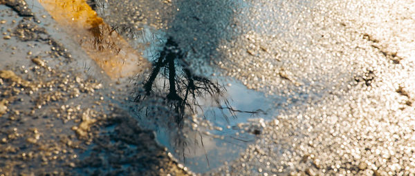 Close-up of snow on land