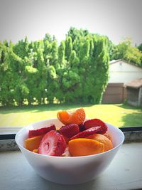 Close-up of fruits in bowl on table