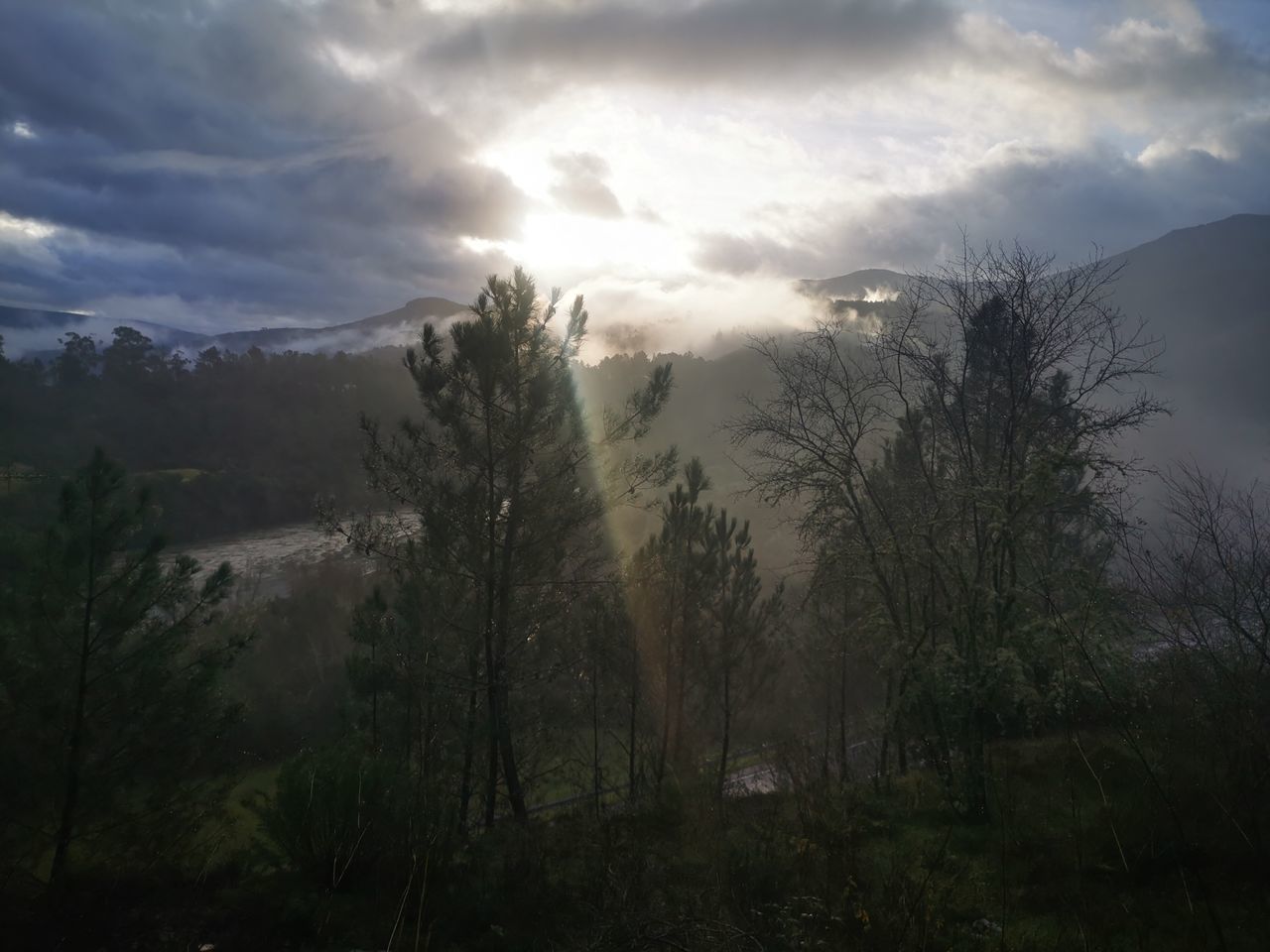 sky, morning, cloud, nature, tree, environment, plant, beauty in nature, mountain, landscape, mist, scenics - nature, land, fog, sunlight, forest, no people, tranquility, dawn, sunbeam, sun, tranquil scene, outdoors, non-urban scene, wilderness, mountain range, travel, sunrise, travel destinations, pinaceae, coniferous tree, pine tree