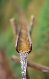 Close-up of water drop on wood