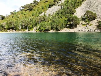 Scenic view of lake against trees