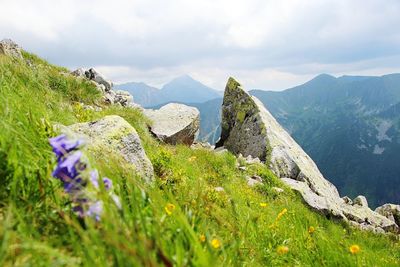 Scenic view of mountains against sky