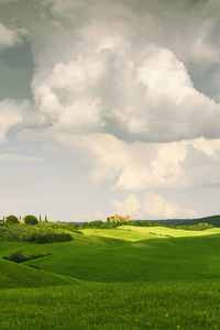 Scenic view of agricultural field against sky