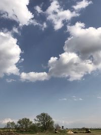 Low angle view of trees against sky