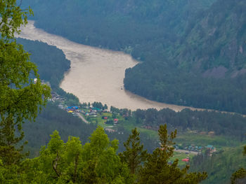 High angle view of river amidst trees in forest