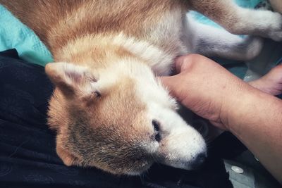 Close-up of person hand with tattoo