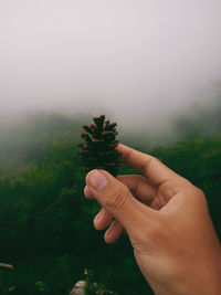 Midsection of person holding plant against sky