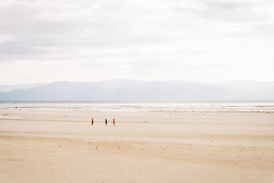 Group of people on beach against sky