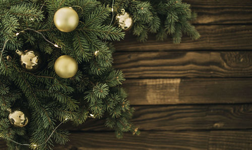 Border. christmas tree branches with cones, with golden balls and garland. dark wooden background.