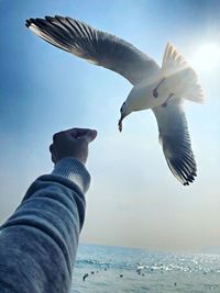 Low angle view of seagull flying over sea against sky