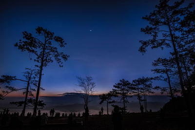 Low angle view of silhouette trees against sky at sunset