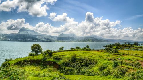 High angle view of grassy landscape by lake against sky