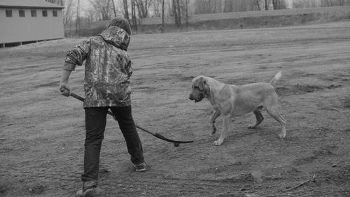 Playful dog and boy standing on field