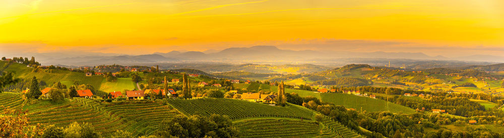 Scenic view of agricultural field against sky during sunset