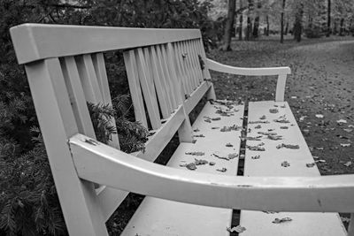 High angle view of empty bench in park