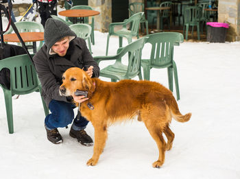 Portrait of dog on snow covered field