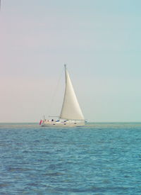 Sailboat sailing in sea against clear sky