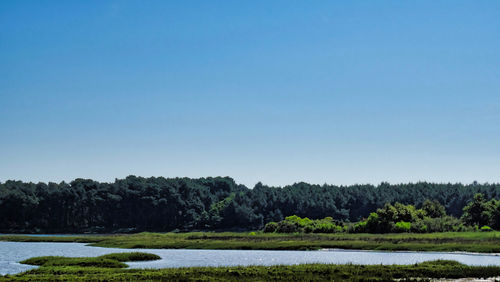 Scenic view of lake against clear blue sky